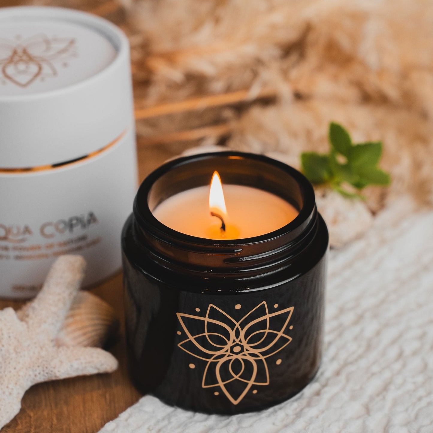 Candle 2: AquaCopia Signature Scent - Large