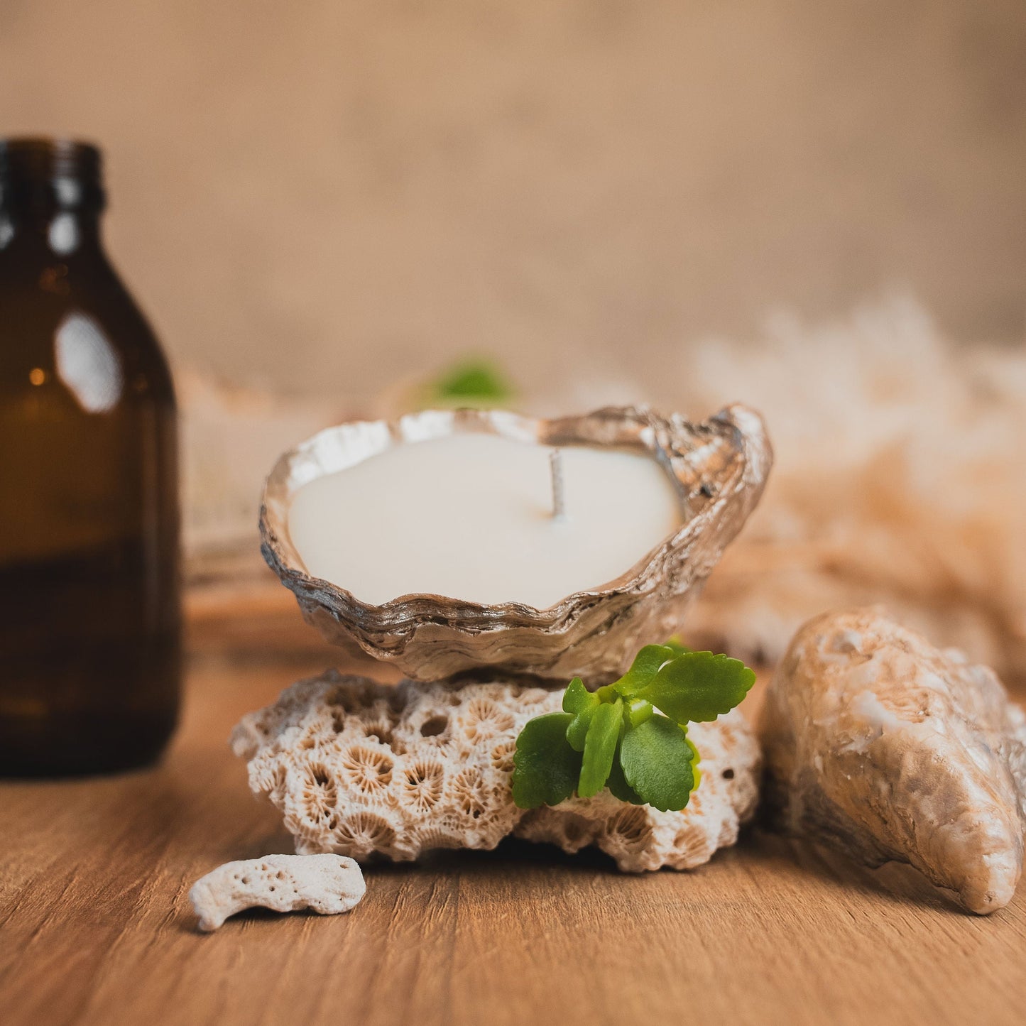Champagne Oyster Shell Candle Pair