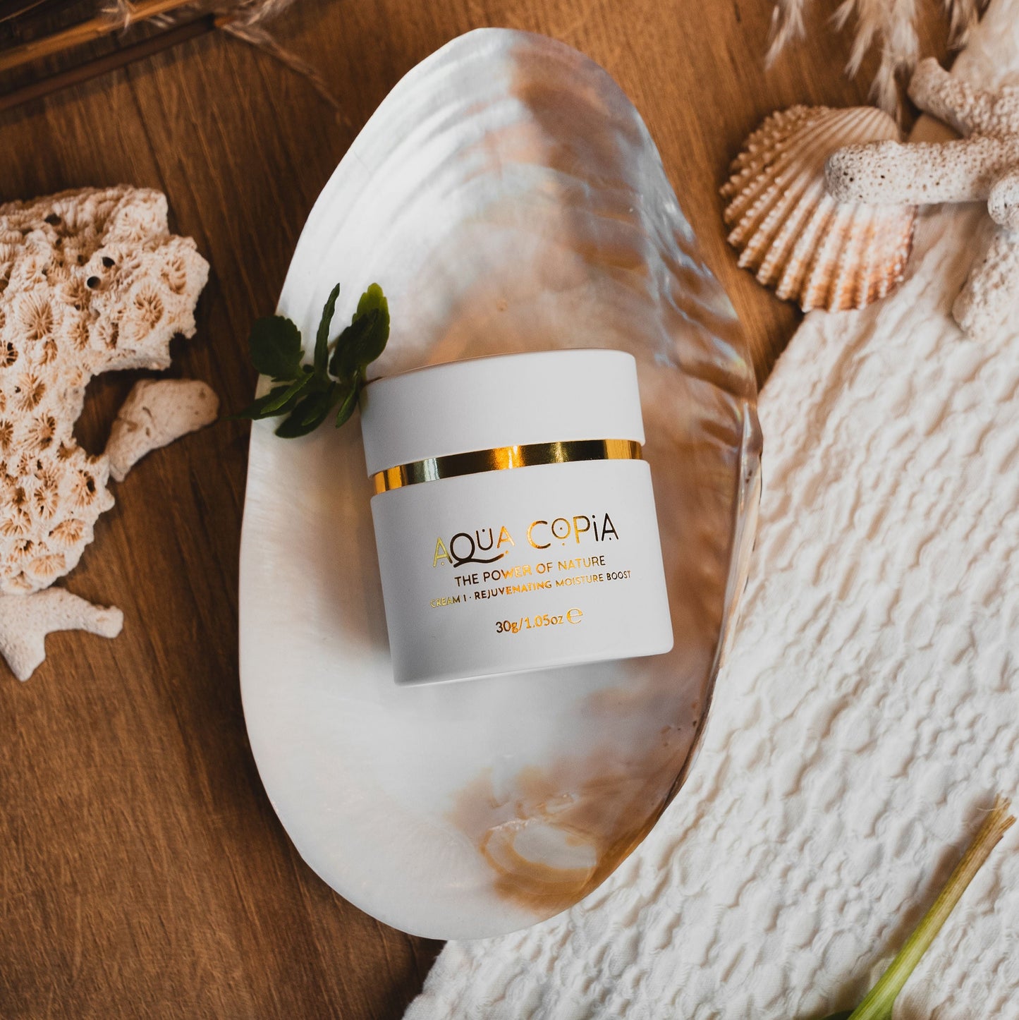Skincare product in a shell with natural elements on a wooden surface