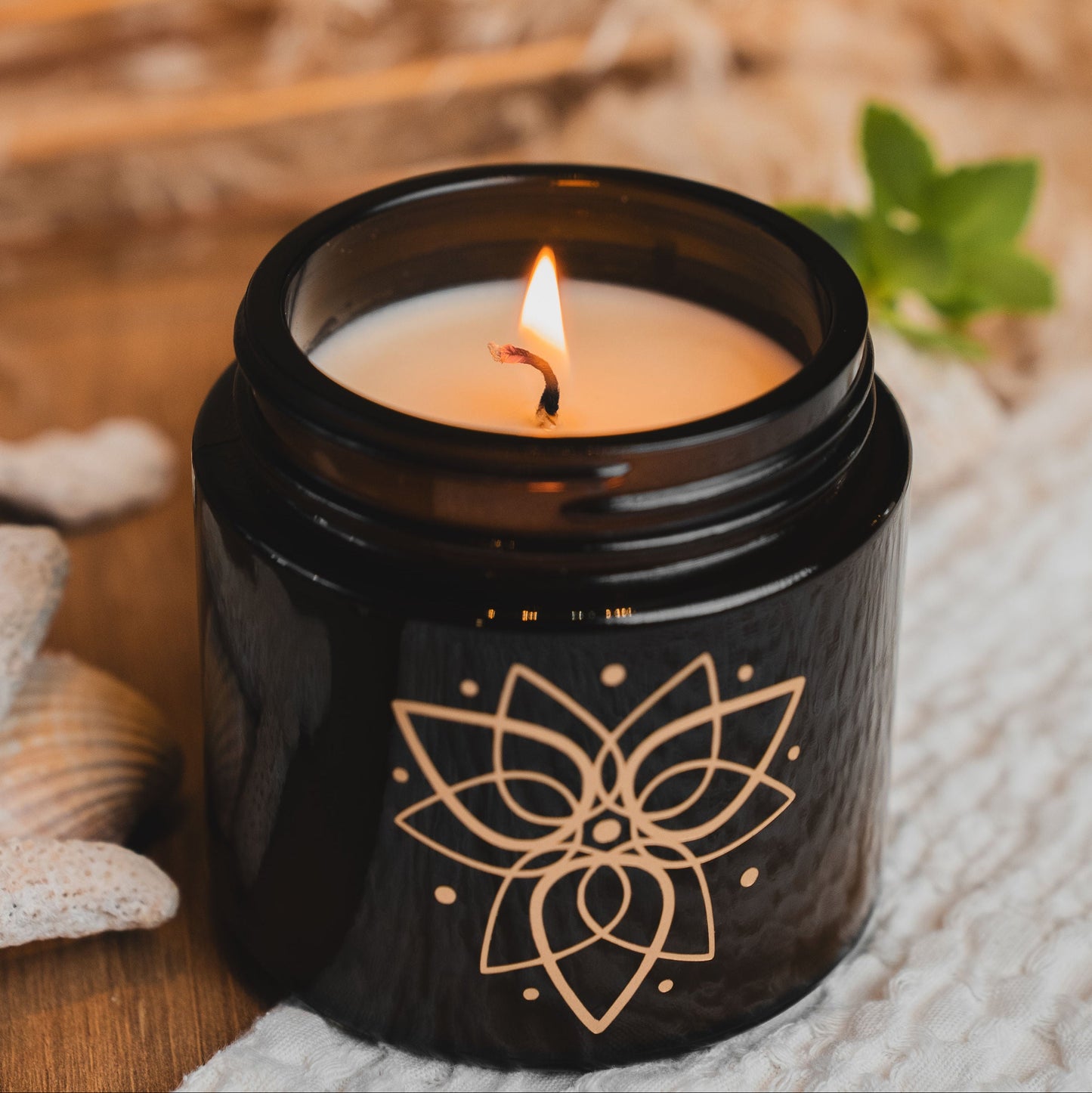 Candle 2: AquaCopia Signature Scent - Large